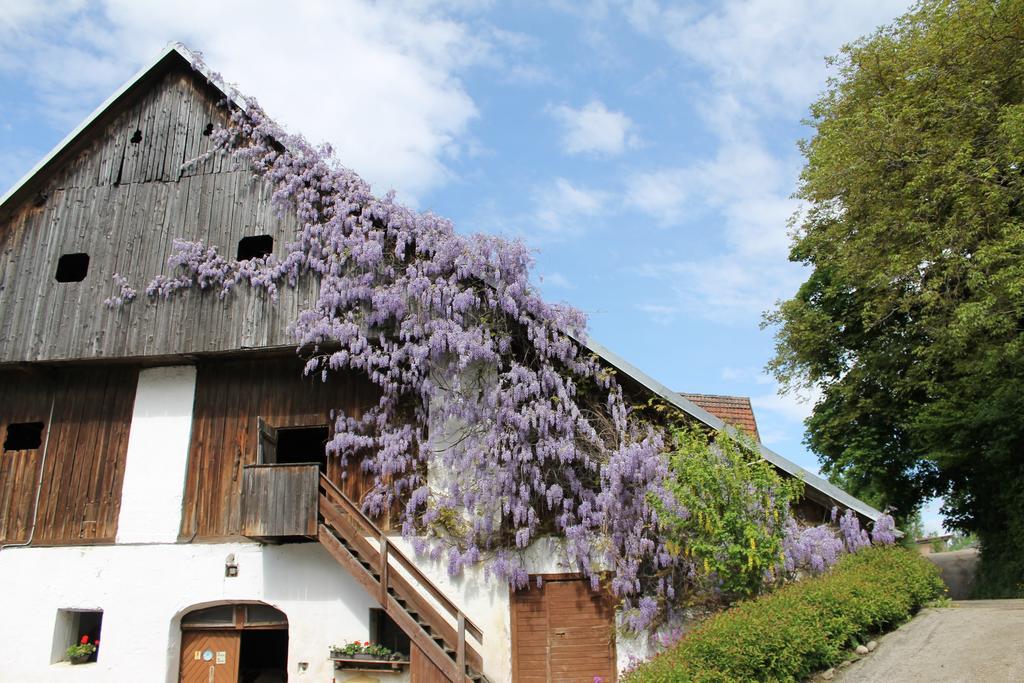 Pension Neuhof Оссиах Экстерьер фото